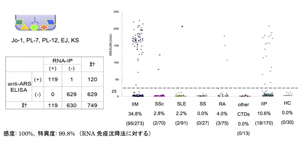 抗ARS抗体ELISAの陽性率